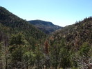 photo thumbnail #11