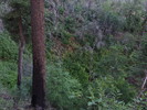 photo thumbnail #15