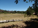 2018-06-30 :1: Central Sierra Ancha Tour :: jacobemerick