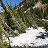 photo thumbnail #2
