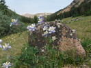 photo thumbnail #9