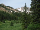 photo thumbnail #12