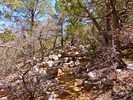 photo thumbnail #6