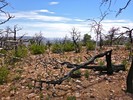 photo thumbnail #13