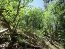 photo thumbnail #13