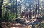photo thumbnail #1