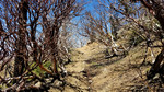 photo thumbnail #9