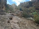 photo thumbnail #1