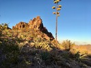 photo thumbnail #5
