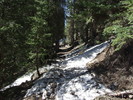 photo thumbnail #1