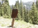 photo thumbnail #5