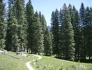 photo thumbnail #12