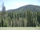 photo thumbnail #14