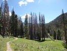recent photo