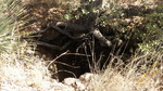 photo thumbnail #12