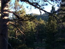photo thumbnail #11