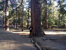 photo thumbnail #15