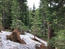 photo thumbnail #9