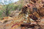 photo thumbnail #5