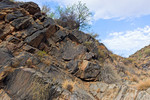 photo thumbnail #6