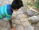 photo thumbnail #3