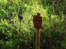 photo thumbnail #13