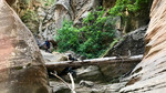 photo thumbnail #3