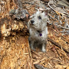 photo thumbnail #13