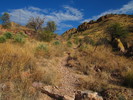 photo thumbnail #2
