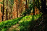 photo thumbnail #2