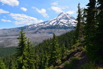 photo thumbnail #2
