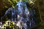 photo thumbnail #4