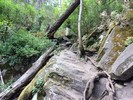 photo thumbnail #1