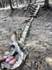 photo thumbnail #3