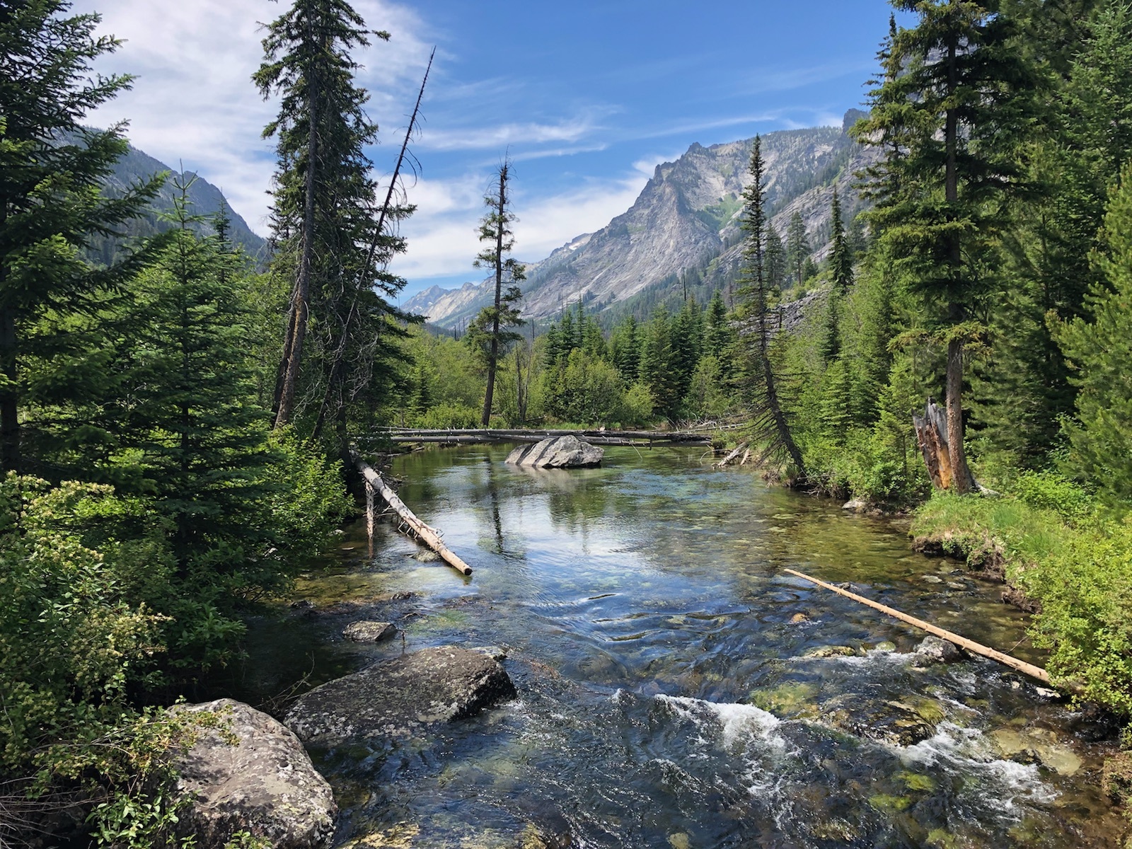 Blodgett Creek Trail 19, MT • Hike