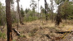 photo thumbnail #8