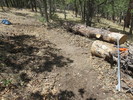 photo thumbnail #2