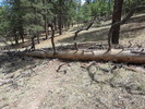 photo thumbnail #7