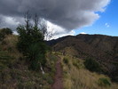 photo thumbnail #13