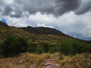 photo thumbnail #15