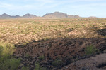 photo thumbnail #2
