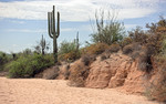 photo thumbnail #8