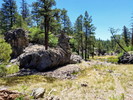 photo thumbnail #1