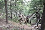 photo thumbnail #3