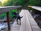 photo thumbnail #2