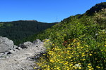 photo thumbnail #9