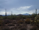 photo thumbnail #4