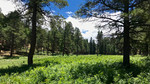photo thumbnail #12
