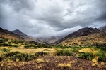 photo thumbnail #12