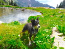 photo thumbnail #11